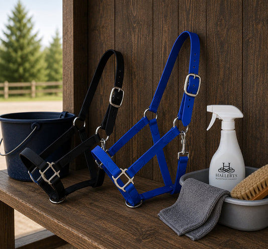 Beta Biothane Halfter Royal-Blau und Tiefschwarz