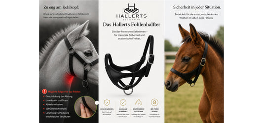 Hallerts Premium Leder Fohlenhalfter