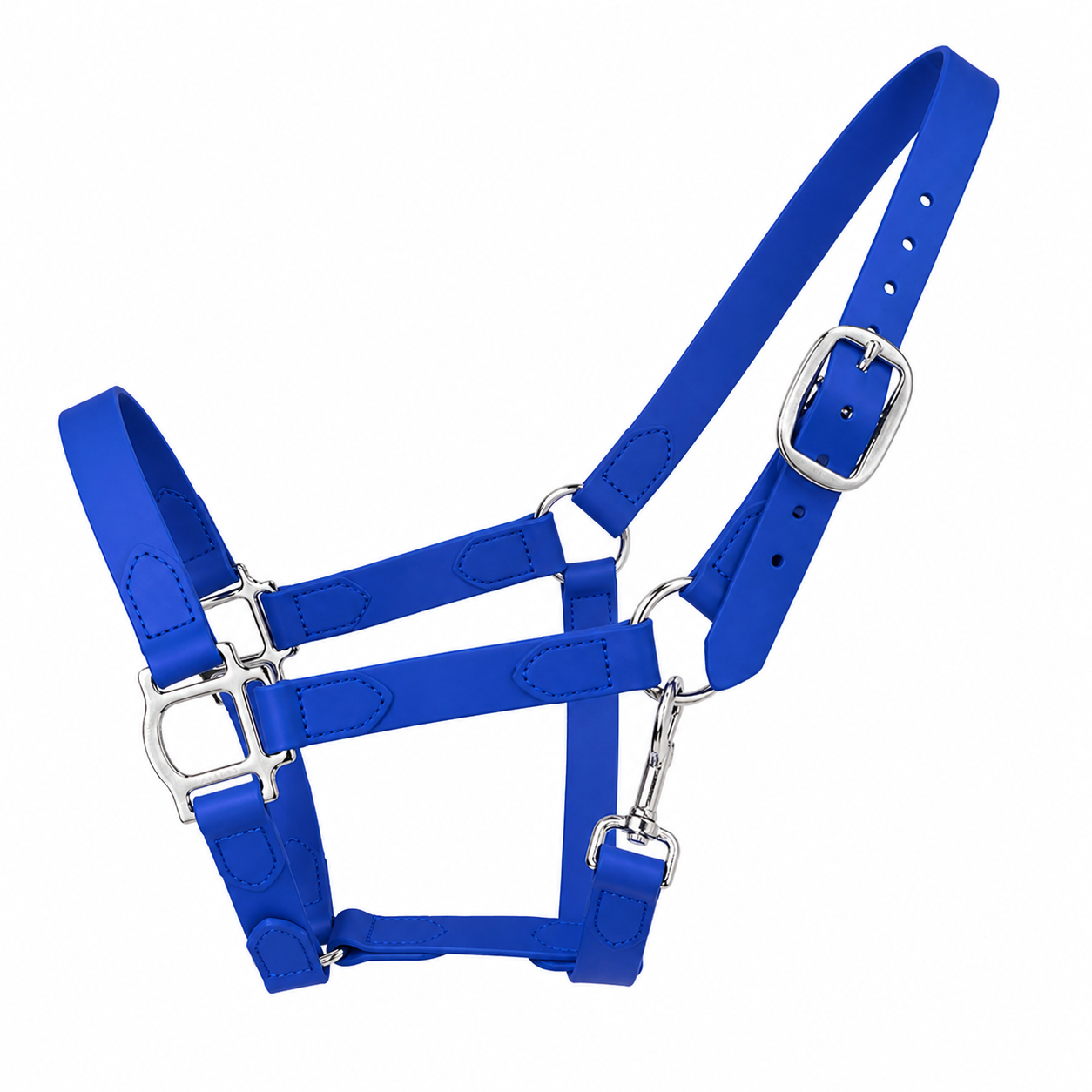 Beta Biothane Halfter  - Hallerts Equestrian